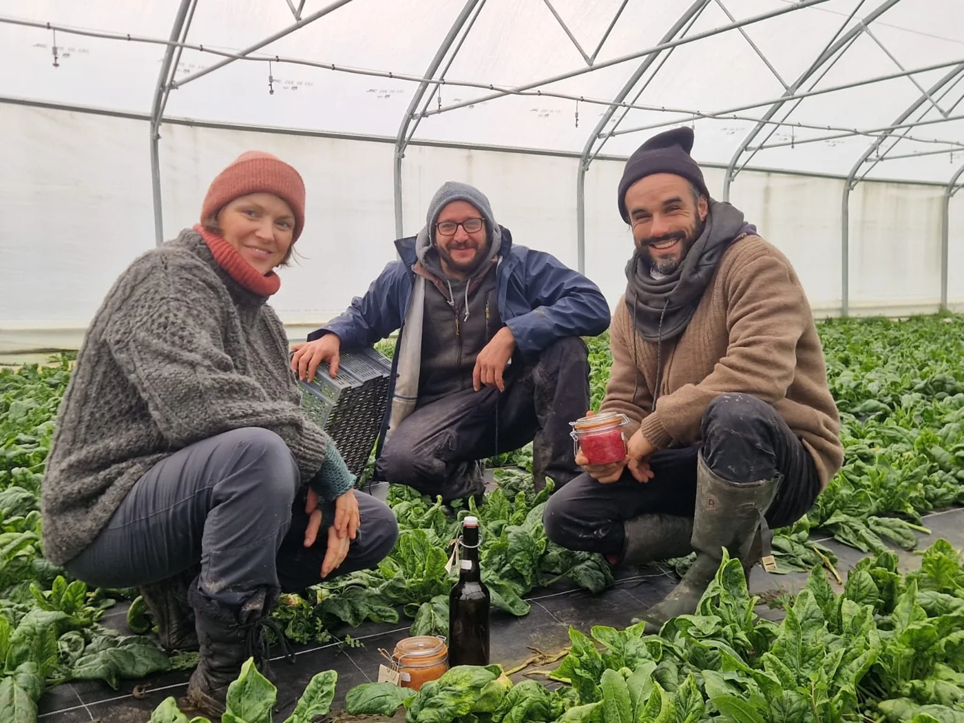 L'équipe de L'Usine à Gaz dans une serre d'épinards, avec ses bocaux de légumes lactofermentés